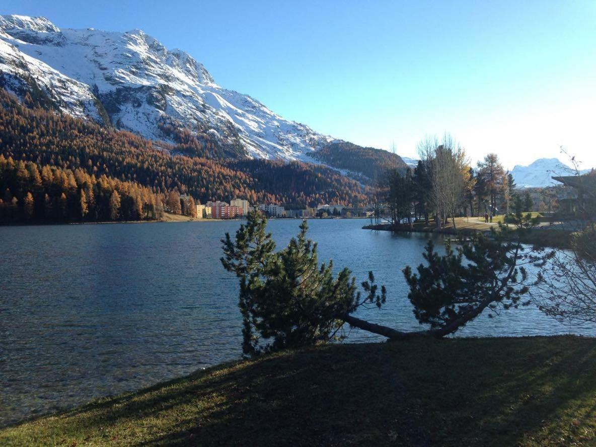 Free Hugs Hotel Mazzo di Valtellina ภายนอก รูปภาพ